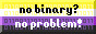 button with nonbinary flag that says no binary no problem